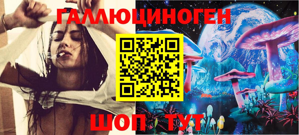 Павлово  Псилоцибиновые грибы прущие грибы  Псилоцибиновые грибы Psilocybine cubensis  Вход с VPN 